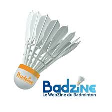 Badzine